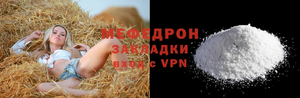 индика Елабуга