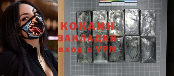 индика Елабуга