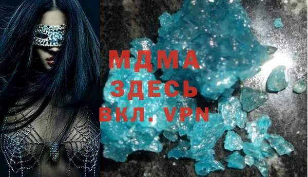 индика Елабуга