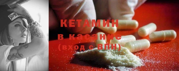 индика Елабуга