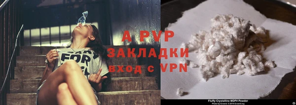 индика Елабуга