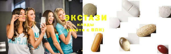 индика Елабуга