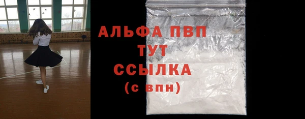 индика Елабуга