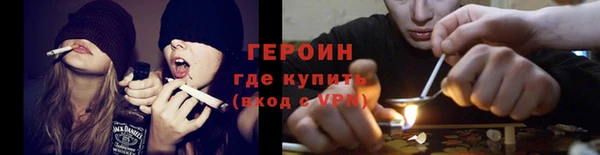 индика Елабуга