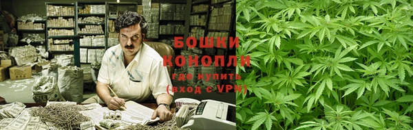 метамфетамин Ельня