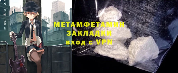 индика Елабуга