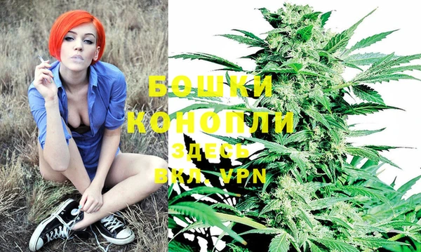 индика Елабуга