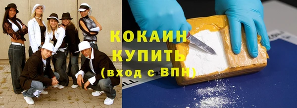 индика Елабуга