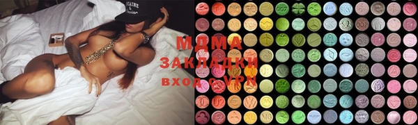 индика Елабуга