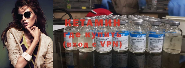 индика Елабуга