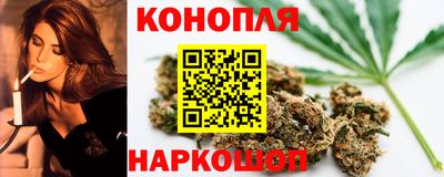 прущие грибы Камышлов