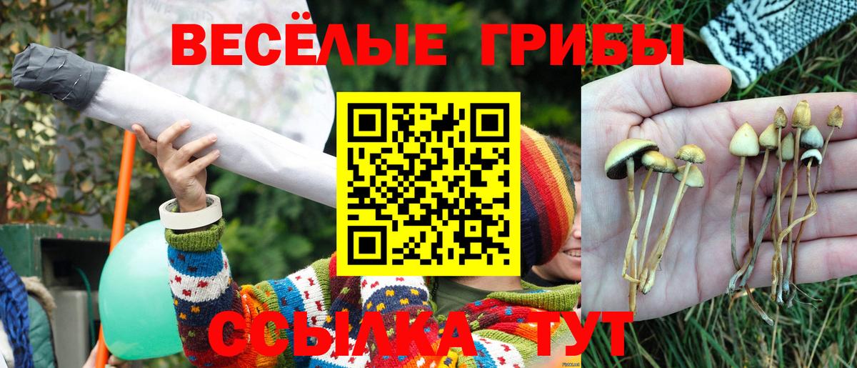 Реж  КОКАИН  Меф кристаллы  Лсд 25  МДМА  Вход с VPN  Экстази  МЕФ  Марихуана  ГАШ 