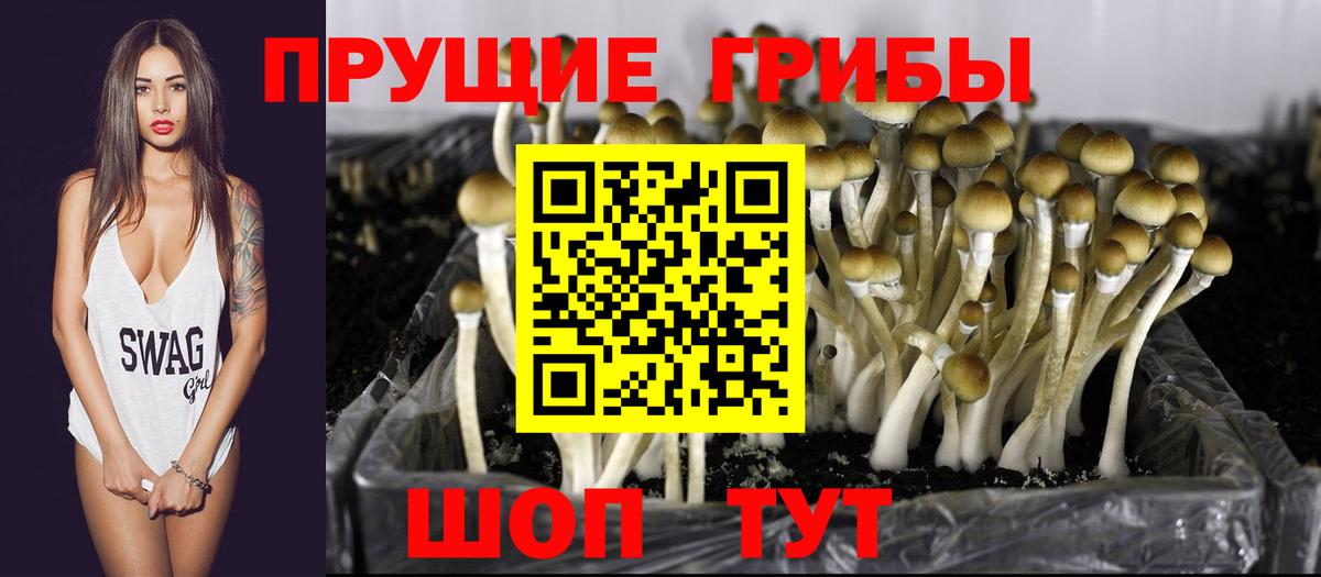 Галлюциногенные грибы прущие грибы Реж